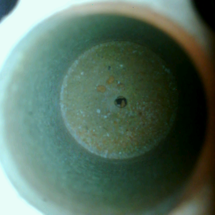 紙片檢測(cè)